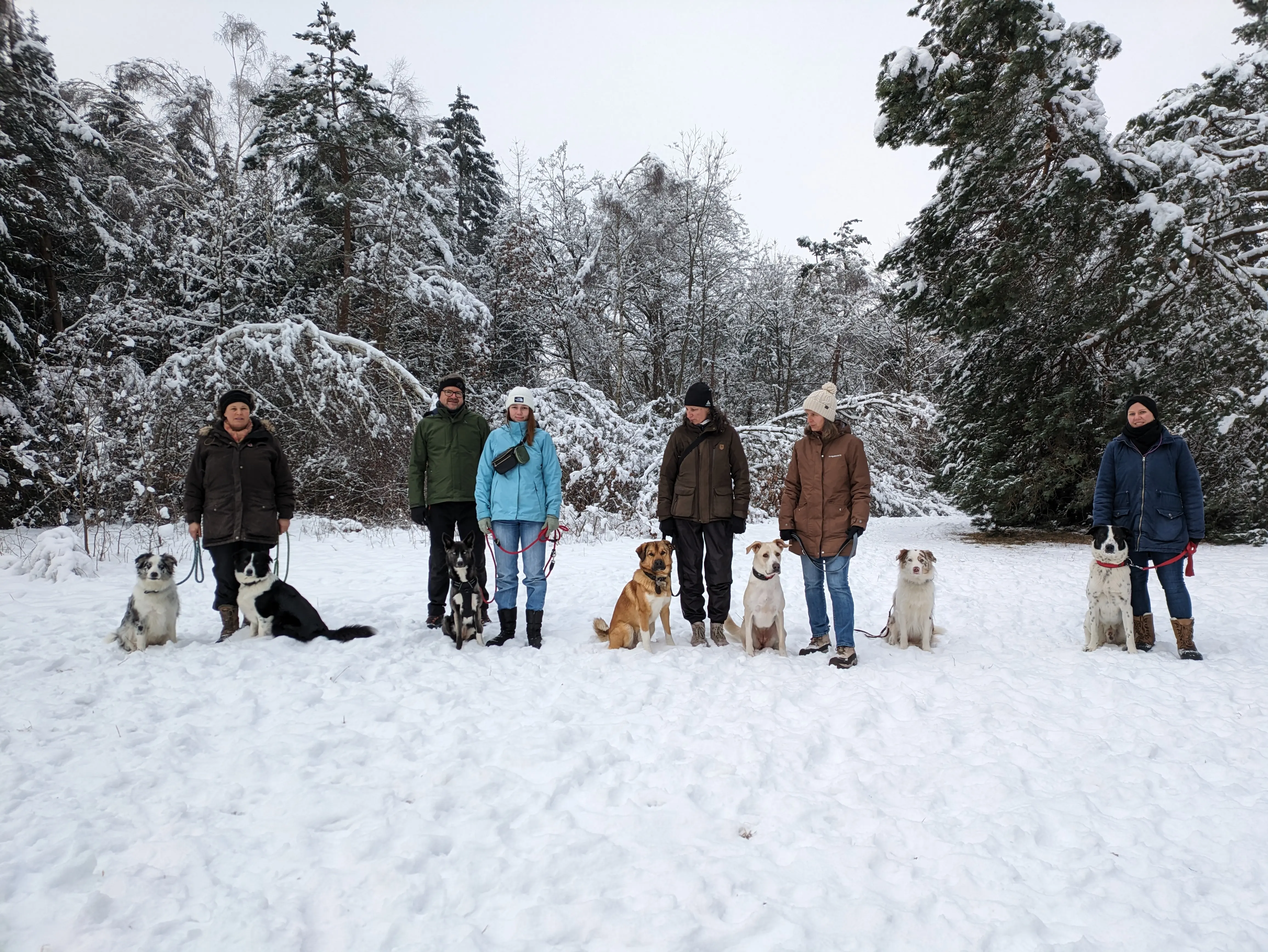Referenzbild der Hundeschule Häfele