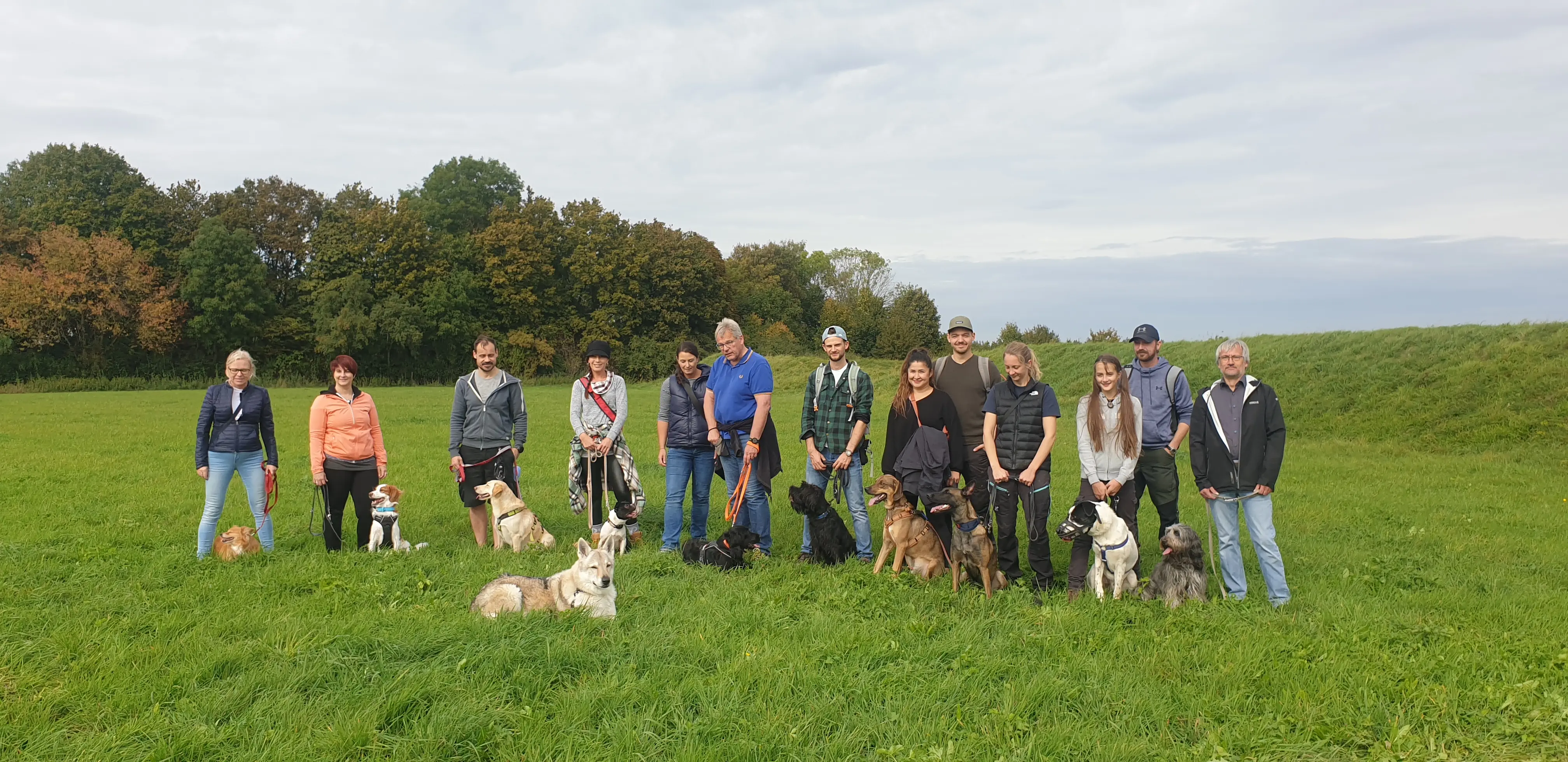 Referenzbild der Hundeschule Häfele
