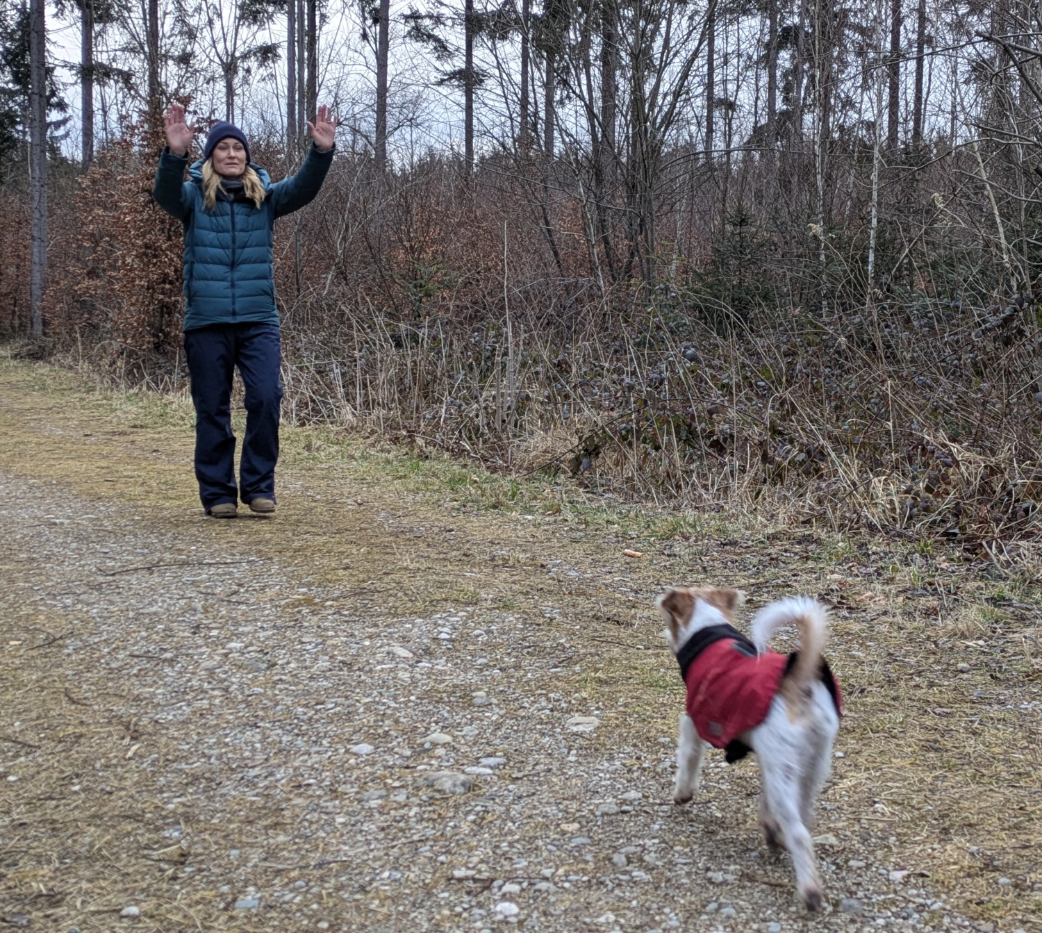Angebote der Hundeschule Häfele