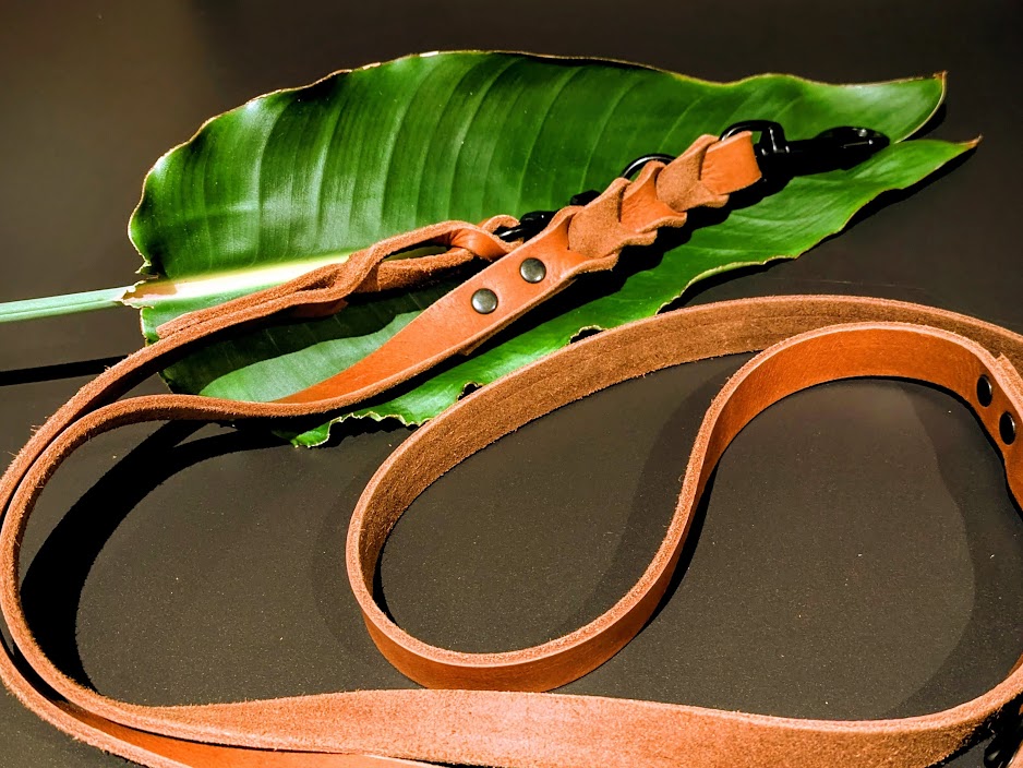 Angebote der Hundeschule Häfele