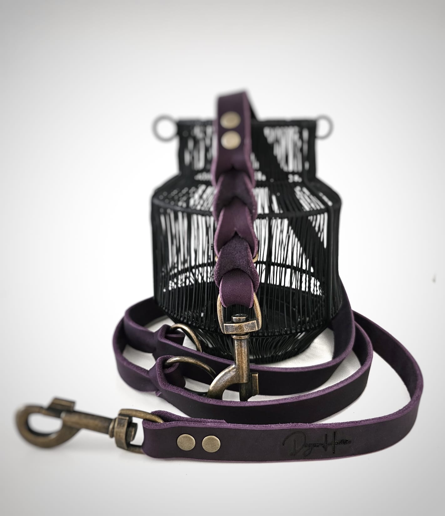 Angebote der Hundeschule Häfele