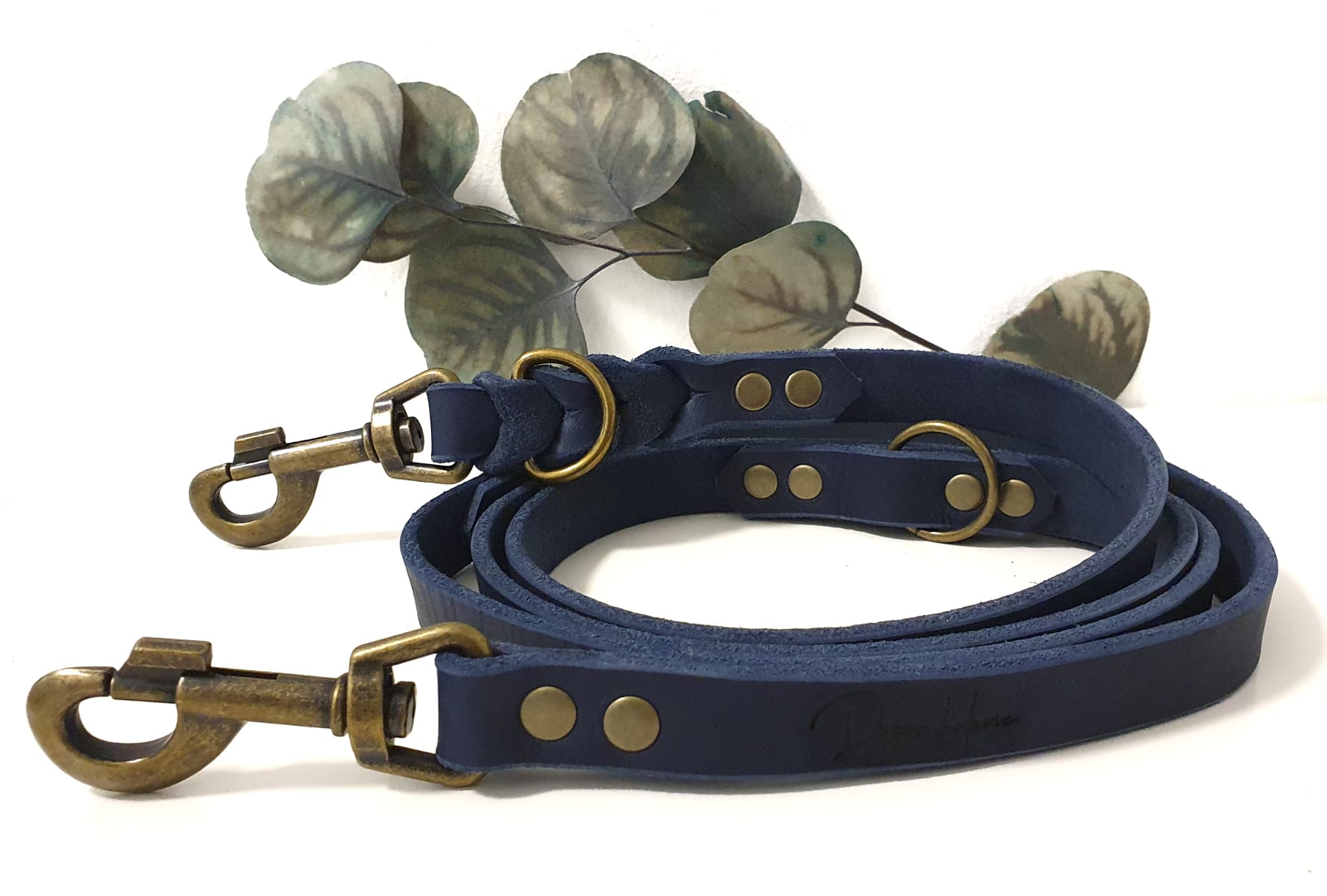 Angebote der Hundeschule Häfele