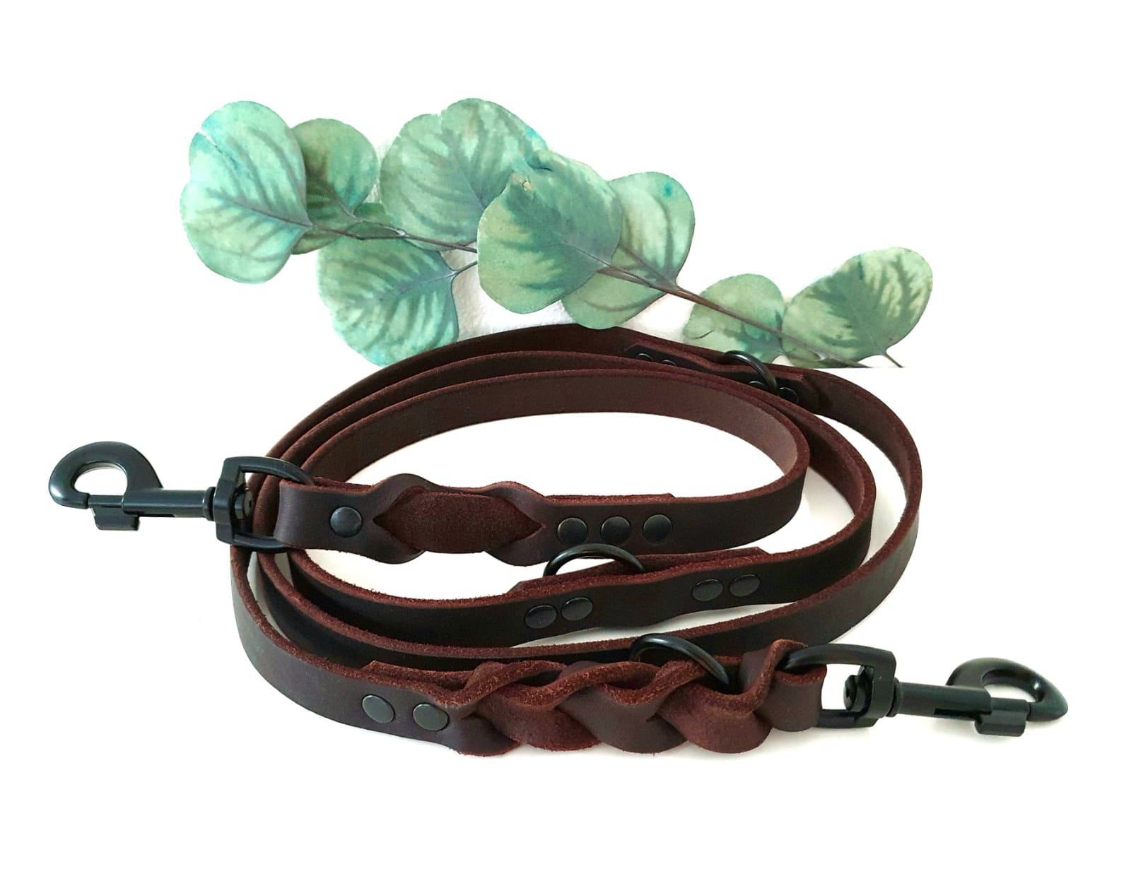 Angebote der Hundeschule Häfele