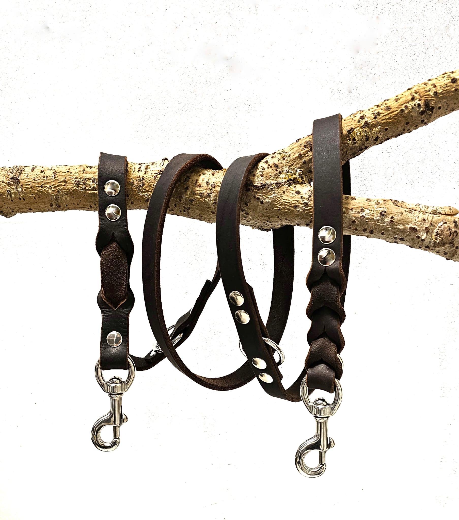 Angebote der Hundeschule Häfele