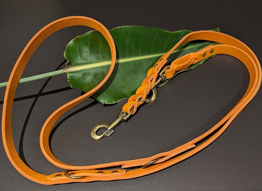 Angebote der Hundeschule Häfele