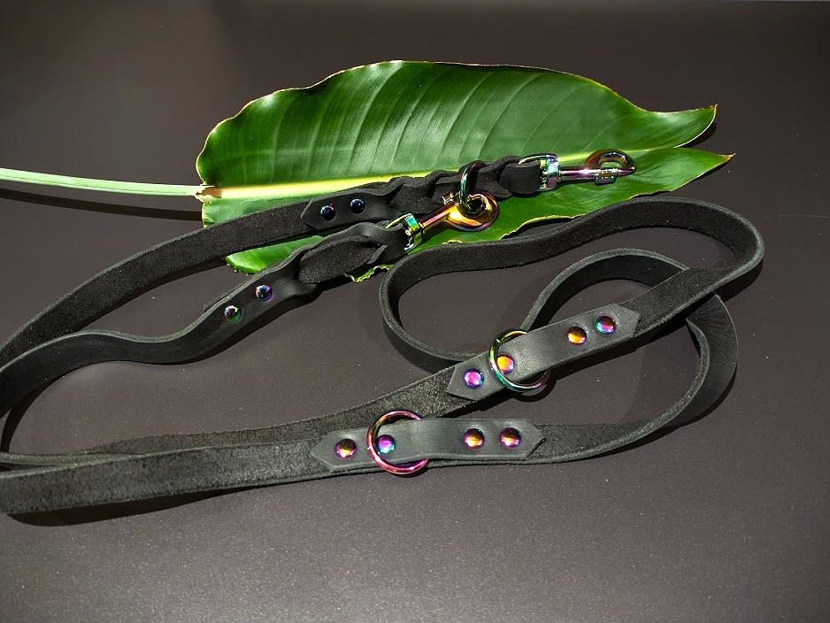 Angebote der Hundeschule Häfele